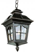  5426 AR - Briarwood 4-Light Rustic, Chesapeake Embellished, Outdoor Pendant with Water Glass and Metal Frame